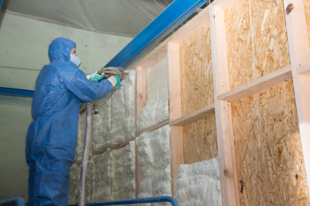 Best Attic Insulation Installation  in Port Charlotte, FL